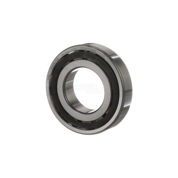 Roller bearing
