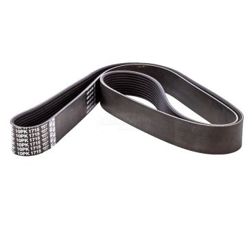 Courroie multi-V 121/01183377