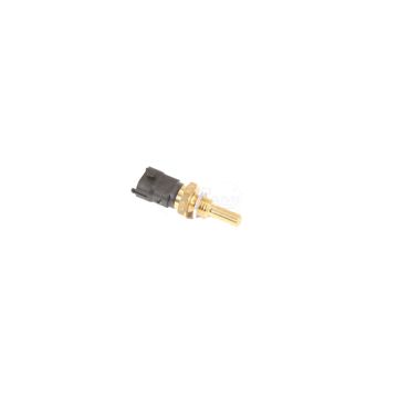 Fluid temperature sensor