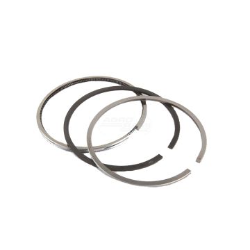 Ringsatz 29/07100536