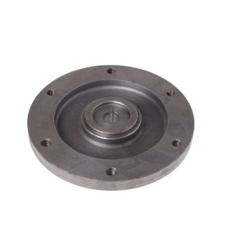 Disque de pompe d'injection 14004811