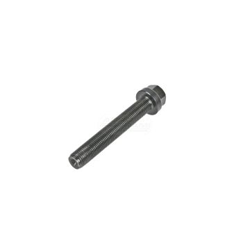 Crank bolt.BFM1012