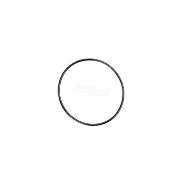 Uszczelka termostatu