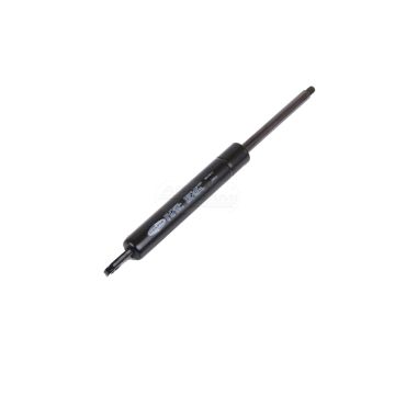 Gas spring 21033