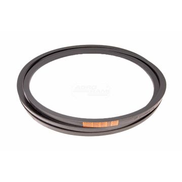 Ceinture HARVEST DF 01129970