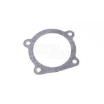 Thermostat gasket