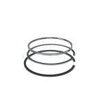 Satz Ringe FI-100,00 30/34-110, 34-176