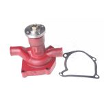 IMPORT water pump