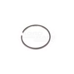 Piston ring