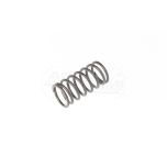 Valve spring 950508