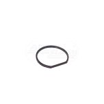 Gasket 70114625