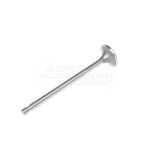 Exhaust valve