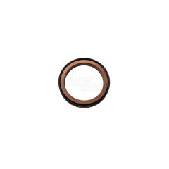 Oil seal