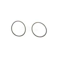 O-ring