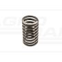 Originální ventilová pružina