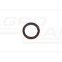 IVECO rear crankshaft gasket