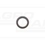 IVECO rear crankshaft gasket