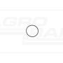 O-RING 47548036 Case IH