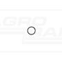 O-Ring 19,16 x 15,6 T102297 McCormick