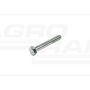 Screw M12X80 8.8