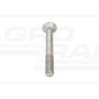 Tapered screw