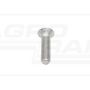 SCREW M16X60 10.9 ORIGINAL