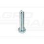 SCREW M10X50 8.8 ORIGINAL