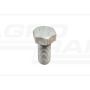 Screw M20x45 10.9