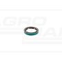 Shaft seal 376930R91, ##, 530093R91, 384334R91 Case IH
