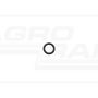O-ring 5172342 Case IH