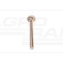 Carriage bolt DIN 603 8x80 A2