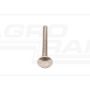 Carriage bolt DIN 603 8x80 A2