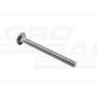 Carriage bolt DIN 603 8x90 A2