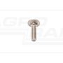 Carriage bolt 8x30 A2