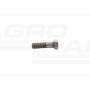 Screw 232974A2 Case IH