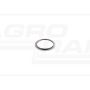 Anneau 162000010748 Case IH