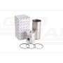 Engine Repair Kit 30/31-58