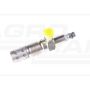Flame plug .21/60-15 12v M20X1.5, 11.720.501