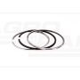 SET OF RINGS 1 PISTON SAME Z-11641
