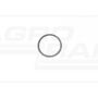 O-Ring 21,9x1,8