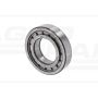 CYLI BALL BEARING
