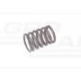 Valve spring