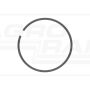 Piston ring