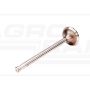 Exhaust valve
