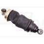 Cab shock absorber