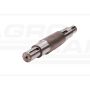 Output shaft