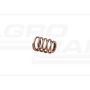 Valve spring.30/45-606