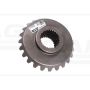Sprocket wheel Z-24 APOLLO