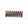 Valve spring