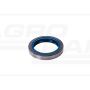Seal 21/6407-21 70X95X15/16.5MM